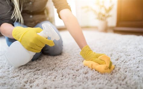 How to clean a carpet with dog urine. Things To Know About How to clean a carpet with dog urine. 